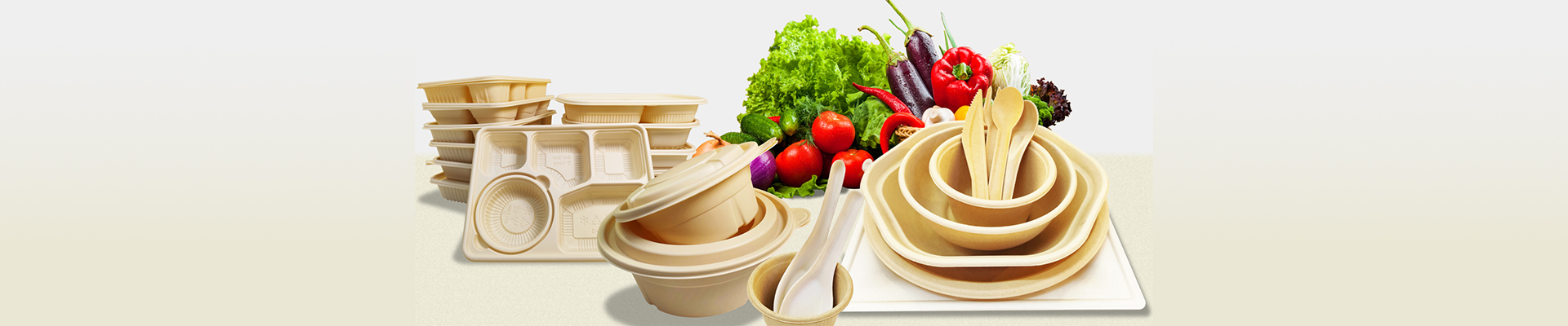 生物可降解材料餐盒
